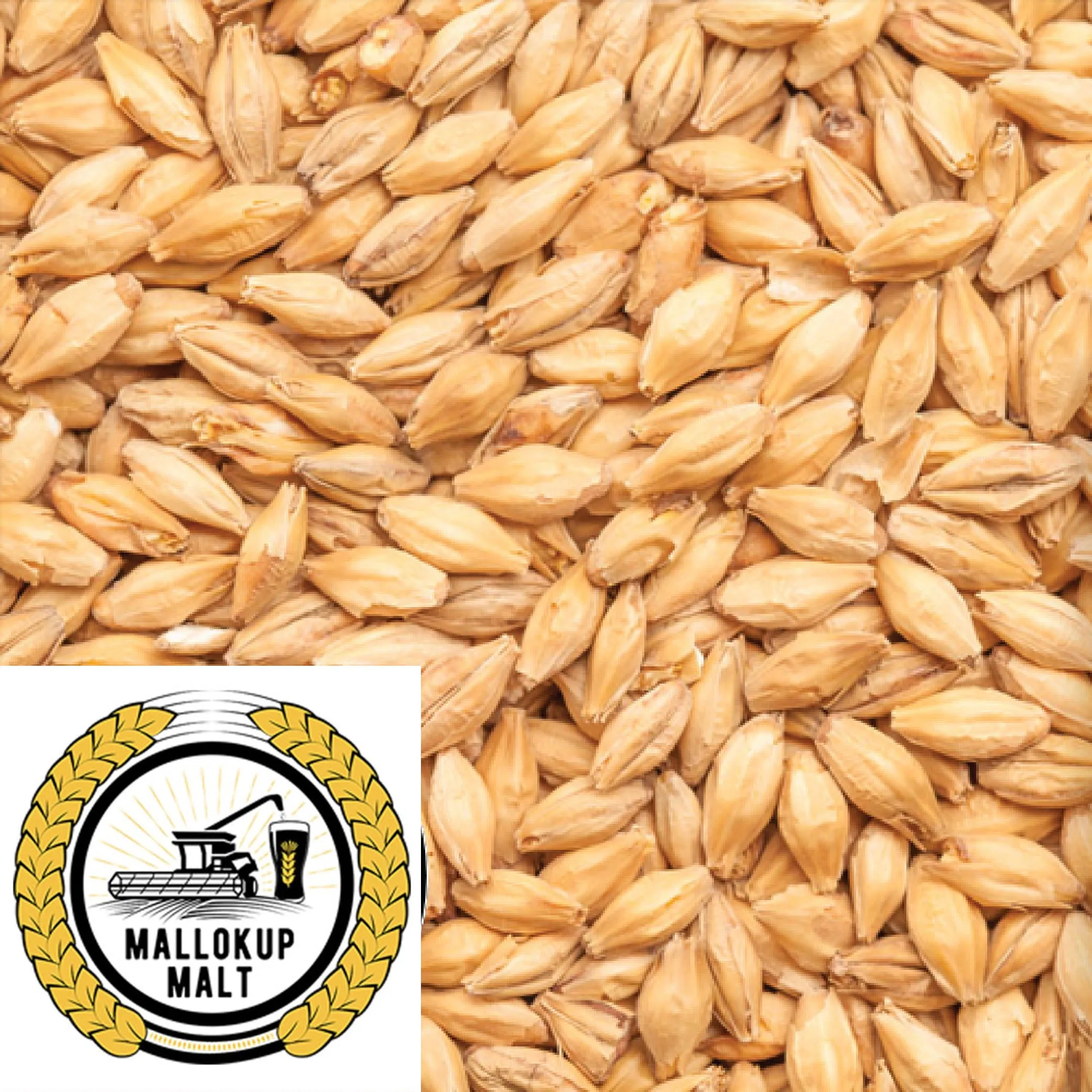 Ale Malt - Mallokup (AUS) - per kg