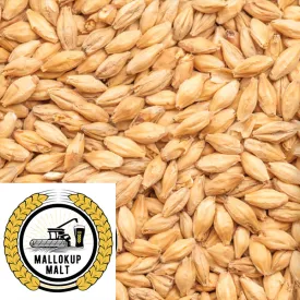 Ale Malt - Mallokup (AUS) - per kg