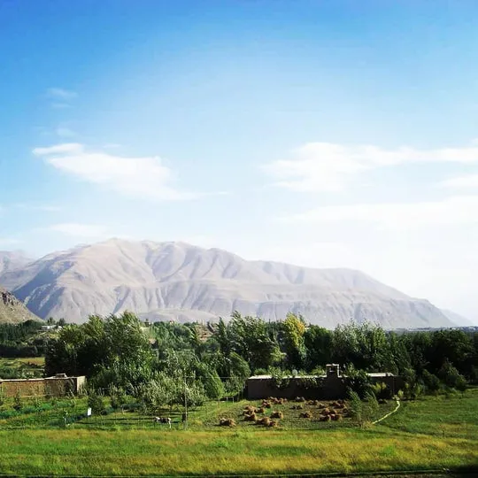 Burlap & Barrel: Wild Mountain Cumin